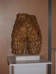 51.3_Max_sculpture-moulage_corps_WinCE_.jpg