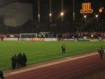 IMG_2248.jpg