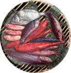 lagalla3.jpg