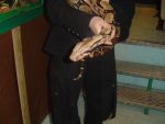 serpents_006.jpg