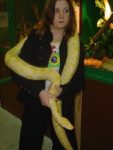 serpents_010.jpg