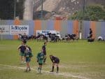 nice-dragui_010.jpg