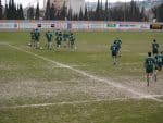 nice-dragui_026.jpg