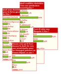 sondage-nice.jpg