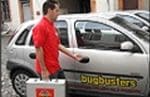 bug-voiture-2.jpg