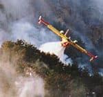 feu-foret-2.jpg