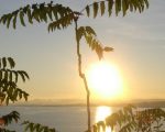 Le soleil c'est beau... mais ça brûle!