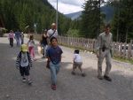P1013328_Small_.jpg