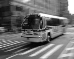 securite-routiere.jpg