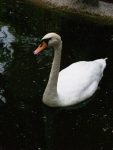 P1014559_Medium_.jpg