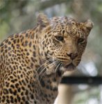 zoo-3.jpg