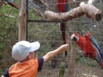 zoo2.jpg