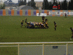 rugby.gif