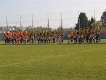P1016381_Medium_.jpg