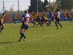 P1016396_Medium_.jpg