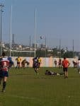 P1016404_Medium_.jpg
