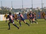 P1016406_Medium_.jpg