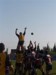 P1016411_Medium_.jpg