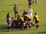 P1016470_Medium_.jpg