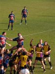 P1016476_Medium_.jpg