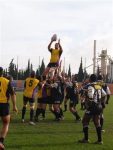 P1016746_Small_.jpg