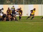 P1016752_Small_.jpg