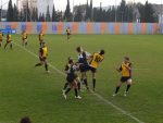 P1016792_Small_.jpg