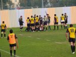 P1016799_Small_.jpg