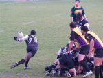P1016804_Small_.jpg