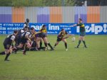 P1016827_Small_.jpg