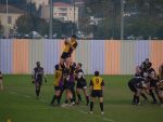 P1016852_Small_.jpg