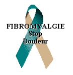 fibro.jpg