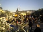 PICT0005-3.jpg
