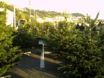 PICT0025-2.jpg