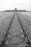 AUSC99_139n-birkenau.jpg