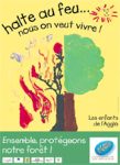 foret.jpg