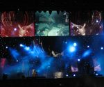 Muse-13.jpg
