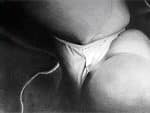 Sans titre - S. Protic