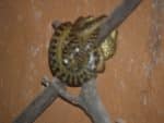 gym_zoo_059.jpg