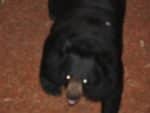 gym_zoo_060.jpg