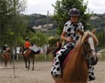 cheval.jpg