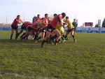 PC060782_Small_.jpg