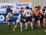 jpg_P4104733_800x600_.jpg