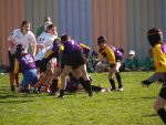 jpg_P4104759_800x600_.jpg