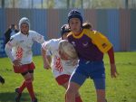 jpg_P4104768_800x600_.jpg