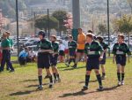 jpg_P4104844_800x600_.jpg