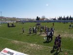 jpg_P4104858_800x600_.jpg