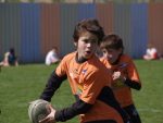 jpg_P4104878_800x600_.jpg