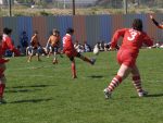 jpg_P4104880_800x600_.jpg