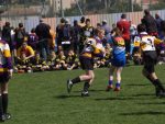 jpg_P4104886_800x600_.jpg